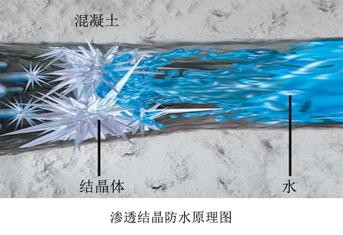 杜渗泰®结晶材料在混凝土微裂缝中生成晶体封闭水通道示意