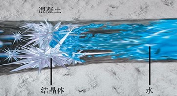 杜渗泰®结晶生长因子遇水激活结晶过程图