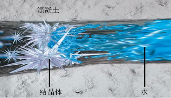 杜渗泰®DST-A结晶因子遇水激活形成结晶封堵裂缝示意