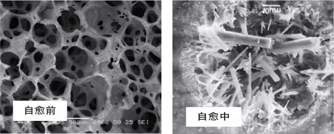 DST-C防腐剂纳米结晶机理图