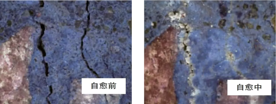 杜渗泰自愈防水剂促进结晶堵塞孔隙结构示意