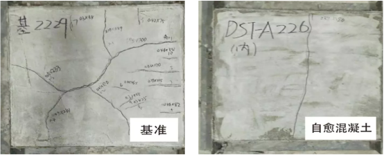 杜渗泰®自愈防水与普通防水剂在裂缝处形成结晶修复的对比图示