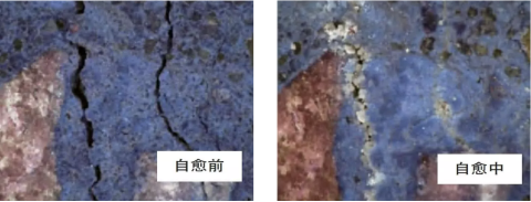 杜渗泰防水剂控制塑性裂缝后的混凝土微观结构对比