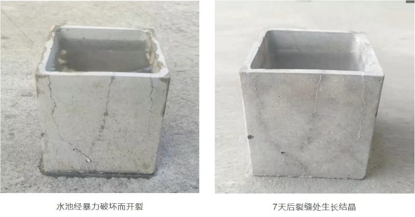 柔性防水与刚性防水结构对比图